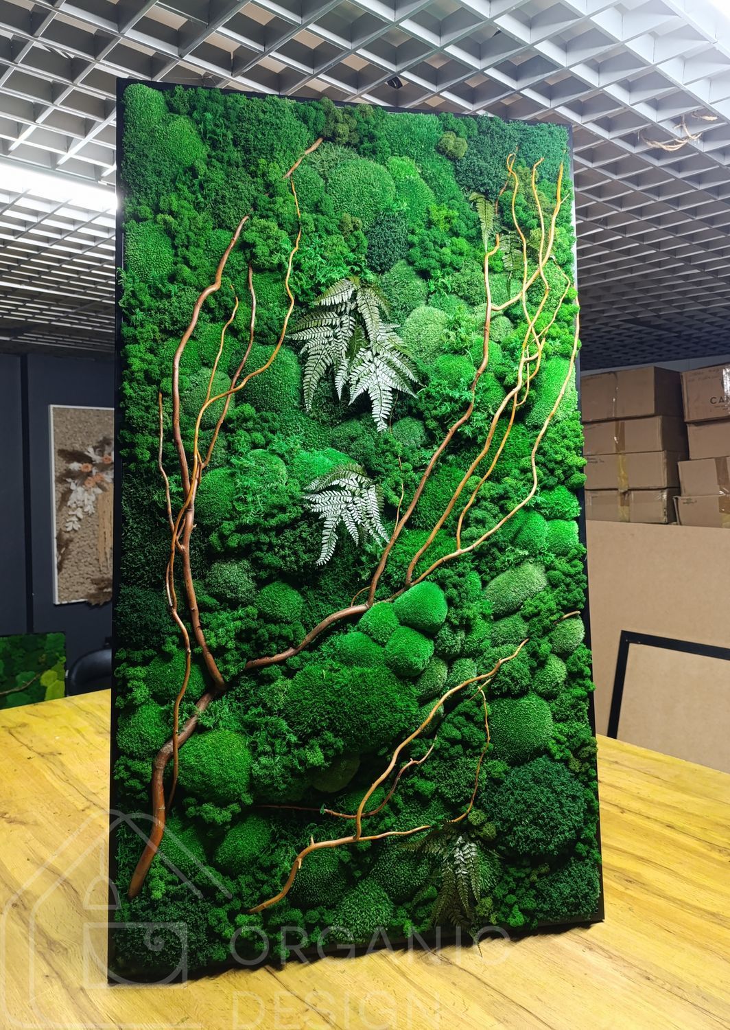 Natural Moss Wall Art - 140х80 cm - 888