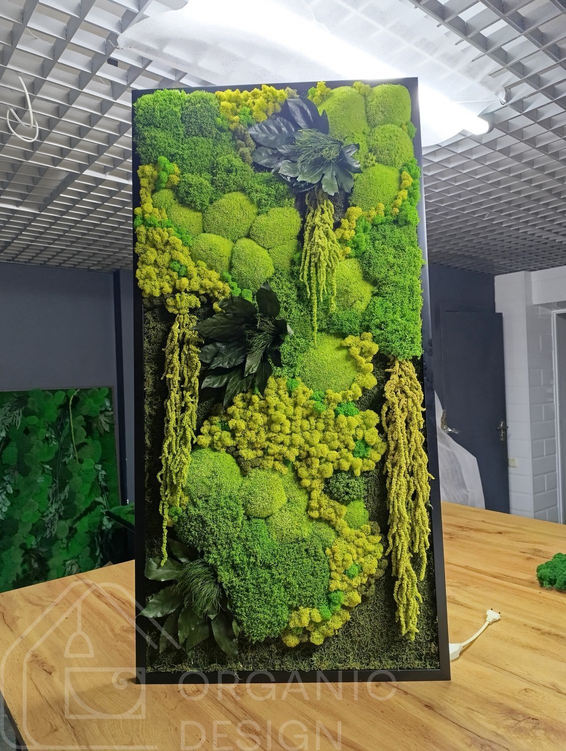 Картина из Мха - 120x60 см - Картина Стабилизированный Мох