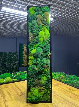 Фітокартина з Моху &mdash; 120x40 см - Кочка та Рослини