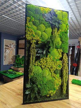 Картина з Моху - 120x60 см - Картина Стабілізований Мох