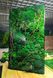 Natural Moss Wall Art - 140х80 cm - 888