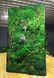 Natural Moss Wall Art - 140х80 cm - 888
