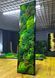 Фітокартина з Моху &mdash; 120x40 см - Кочка та Рослини
