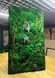Natural Moss Wall Art - 140х80 cm - 888