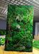 Natural Moss Wall Art - 140х80 cm - 888