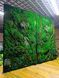 Natural Moss Wall Art - 140х80 cm - 888