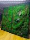 Natural Moss Wall Art - 140х80 cm - 888