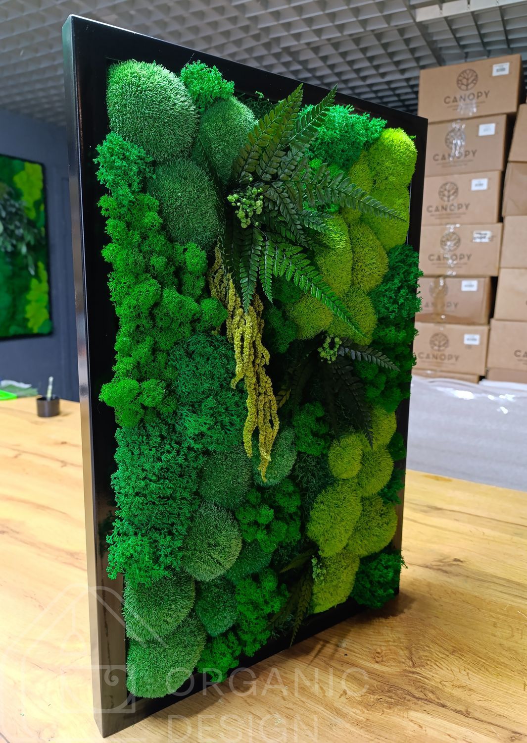 Картина из Мха - 60x40 см - Кочка и Растения