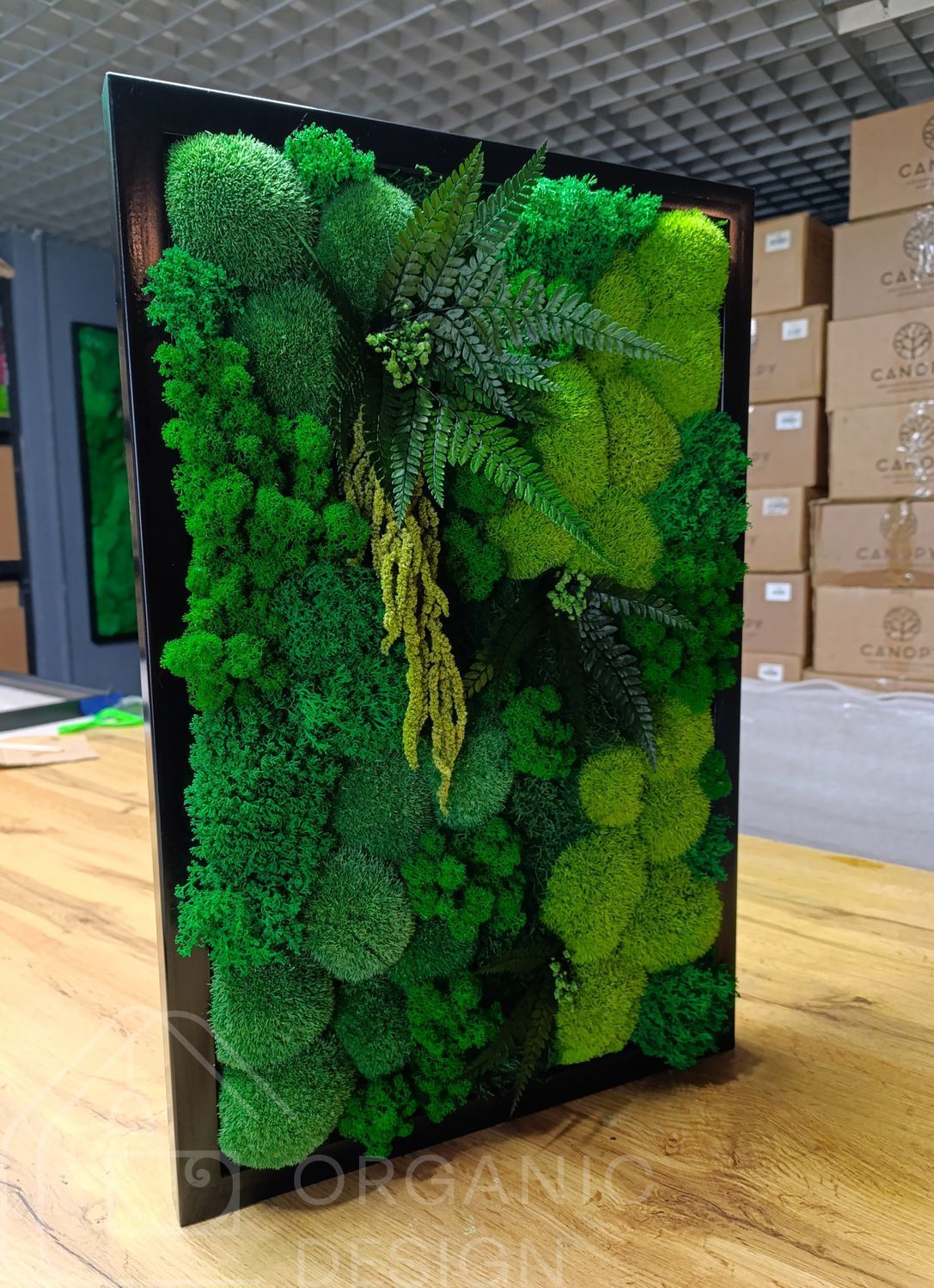Картина из Мха - 60x40 см - Кочка и Растения
