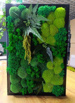 Картина з Моху - 60x40 см - Кочка та Рослини