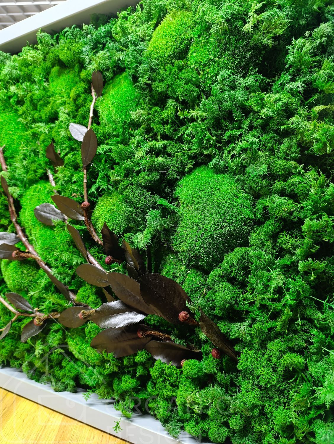 Moss Wall Art with Lighting - 160x60 cm - Reindeer Moss - 811