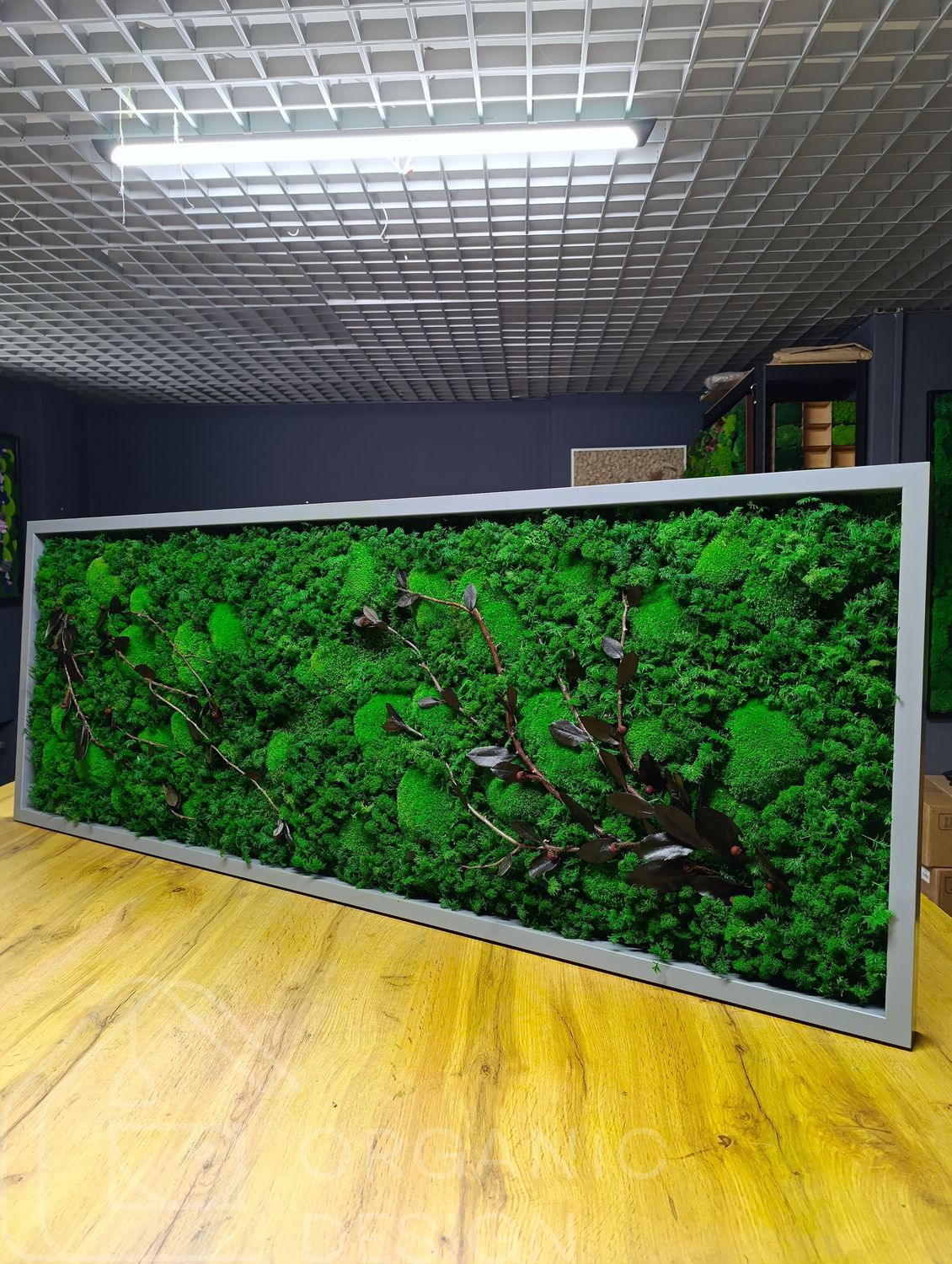 Moss Wall Art with Lighting - 160x60 cm - Reindeer Moss - 811