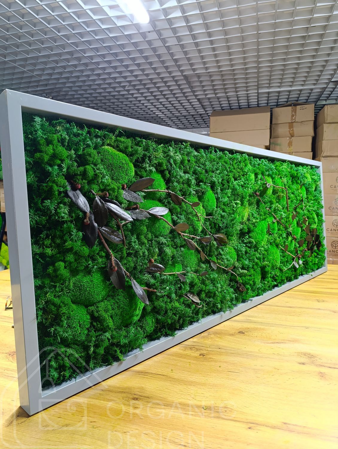 Moss Wall Art with Lighting - 160x60 cm - Reindeer Moss - 811