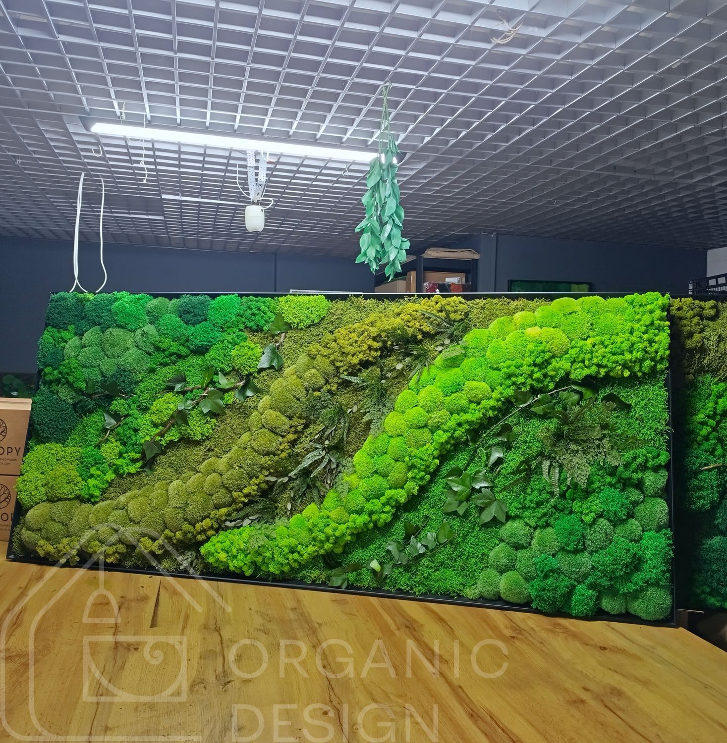 Картина из Мха - 180x80 см - Натуральный Мох