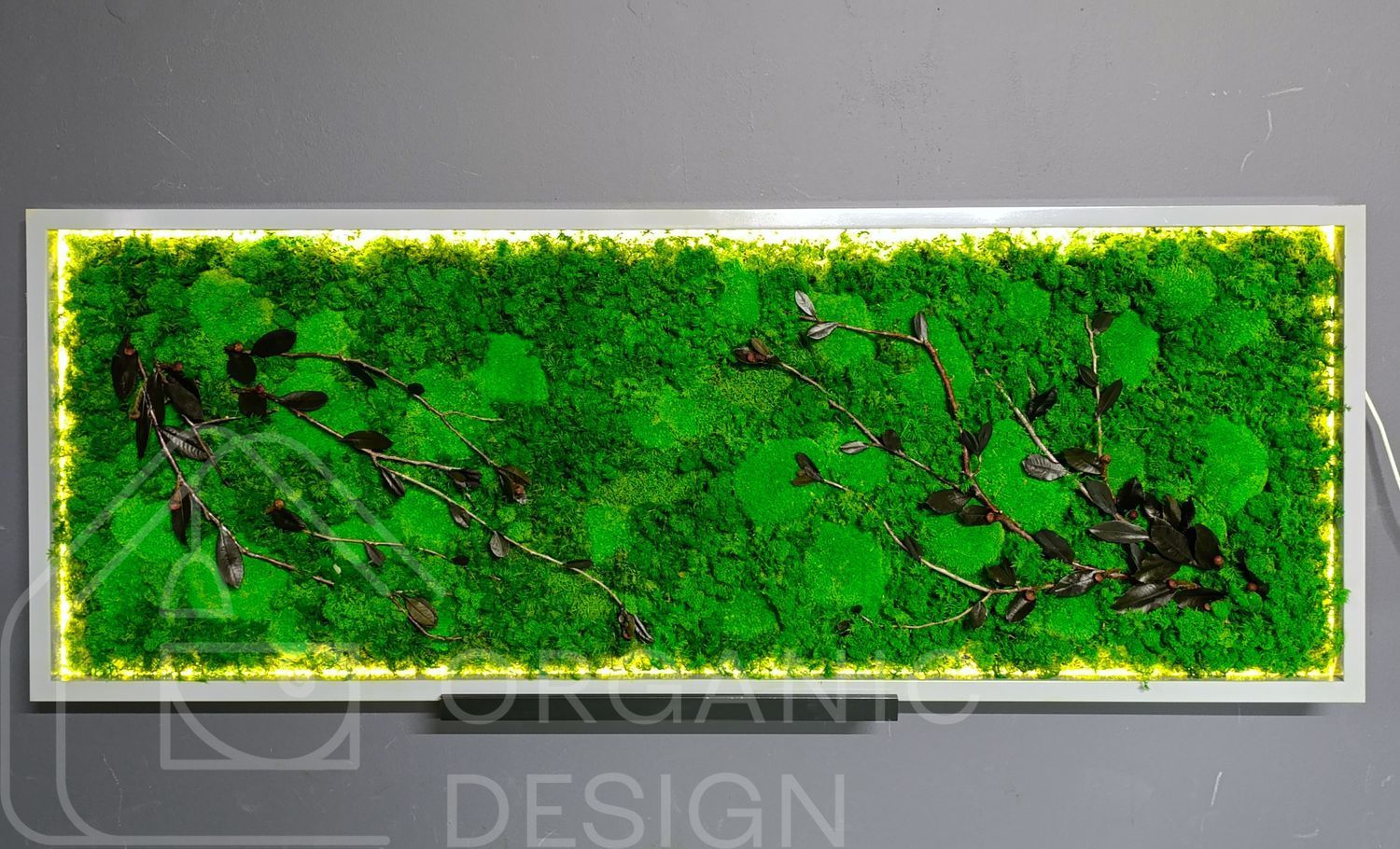 Moss Wall Art with Lighting - 160x60 cm - Reindeer Moss - 811