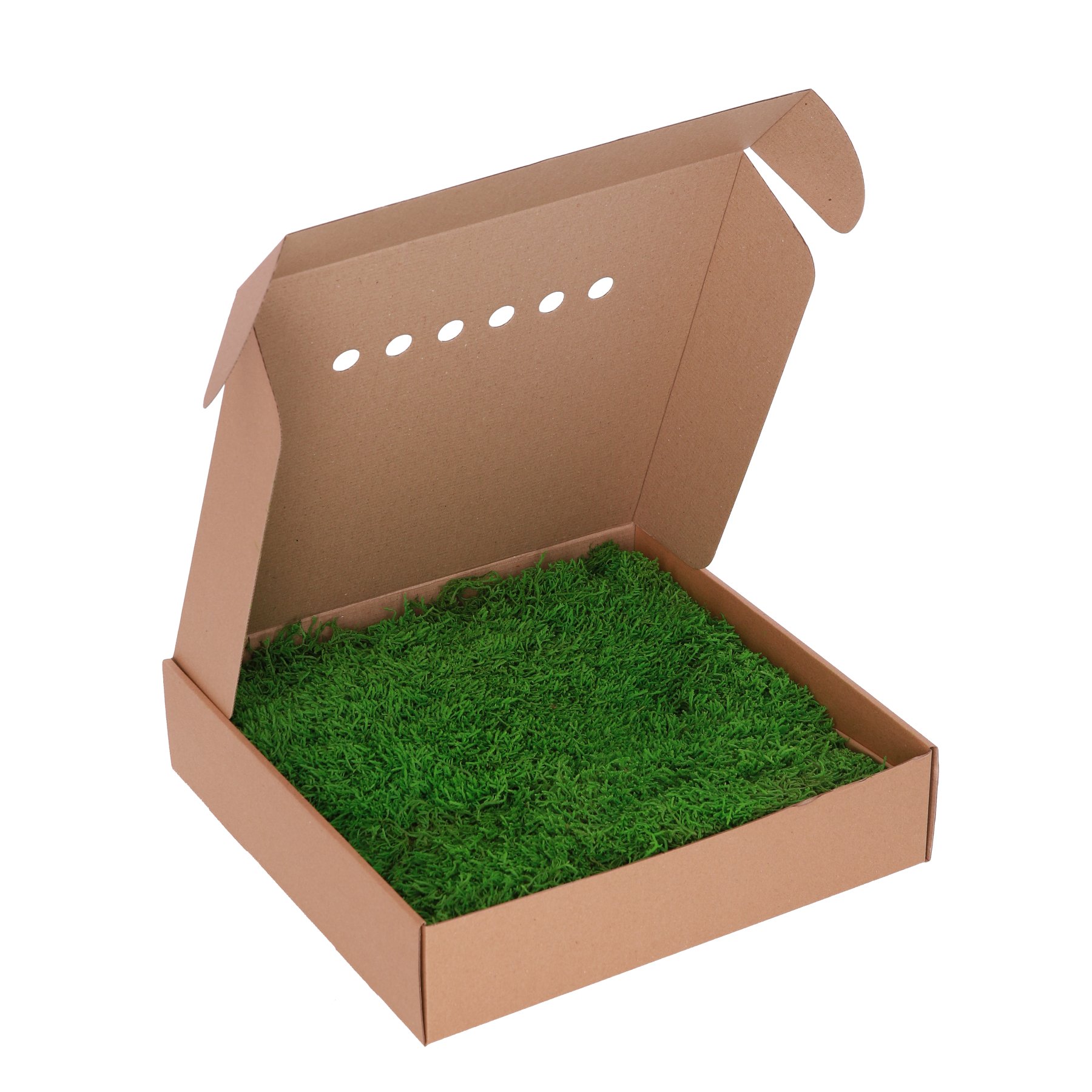 Стабілізований мох - Плоский - Light Green - 0,3 м2