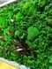 Moss Wall Art with Lighting - 160x60 cm - Reindeer Moss - 811