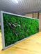 Moss Wall Art with Lighting - 160x60 cm - Reindeer Moss - 811