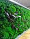 Moss Wall Art with Lighting - 160x60 cm - Reindeer Moss - 811
