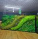 Картина из Мха - 180x80 см - Натуральный Мох