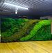 Картина из Мха - 180x80 см - Натуральный Мох