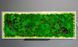 Moss Wall Art with Lighting - 160x60 cm - Reindeer Moss - 811