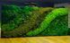 Картина из Мха - 180x80 см - Натуральный Мох