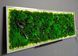 Moss Wall Art with Lighting - 160x60 cm - Reindeer Moss - 811