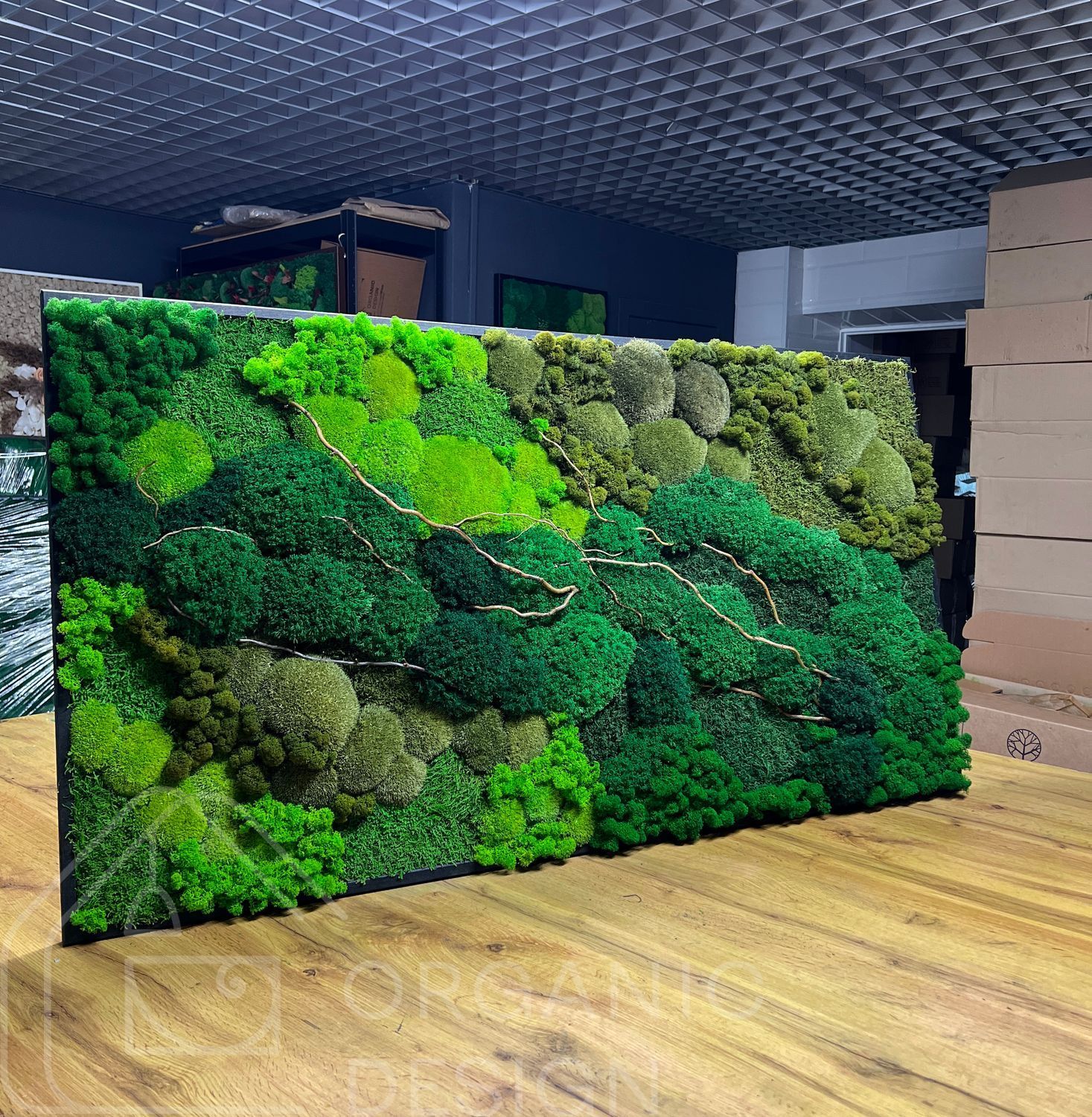 Картина з Натурального Моху &mdash; 90x60 см