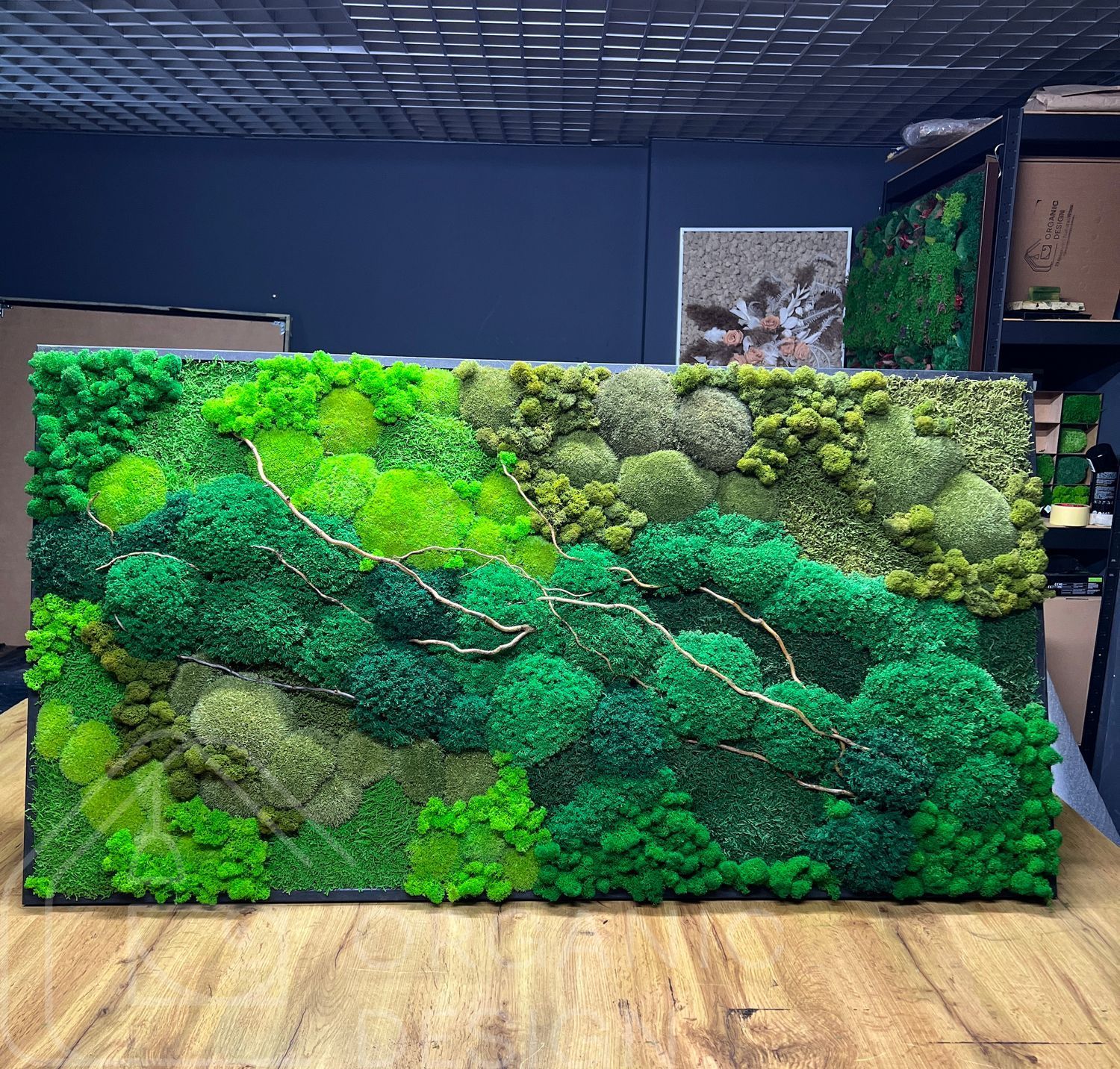 Картина з Натурального Моху &mdash; 90x60 см