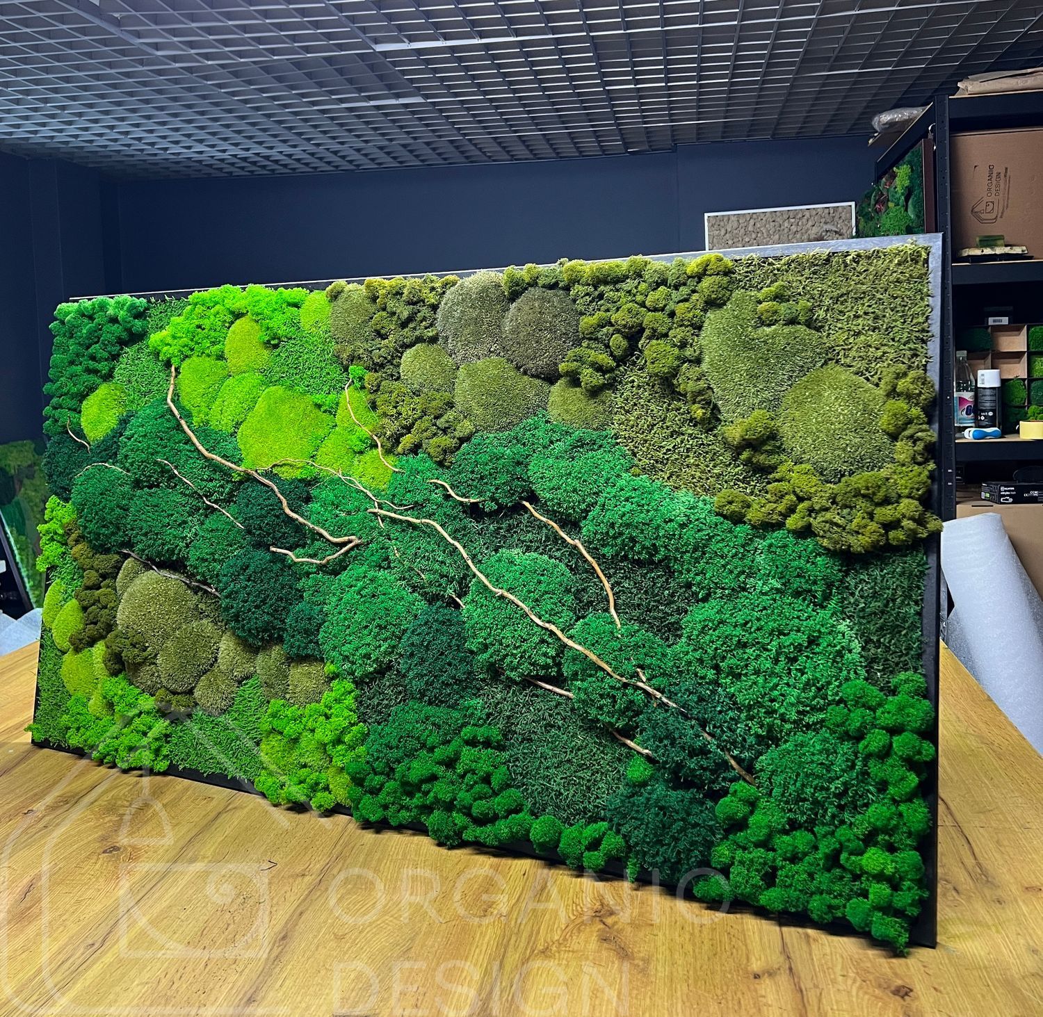 Картина з Натурального Моху &mdash; 90x60 см
