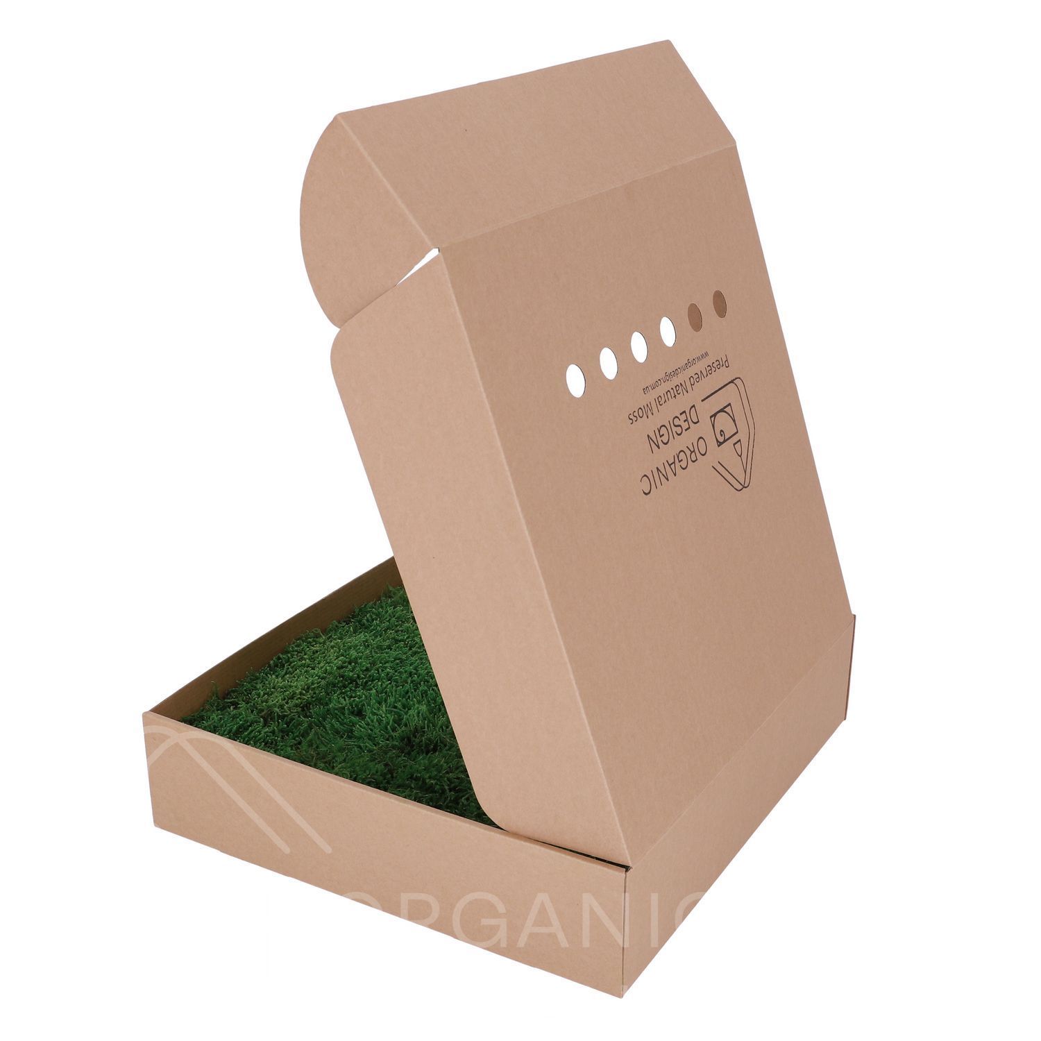 Мох Декоративний - Плоский - Nature Green - Коробка 38х37х9 см