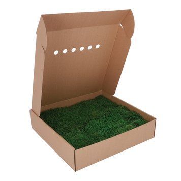 Мох Декоративний - Плоский - Nature Green - Коробка 38х37х9 см