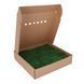 Мох Декоративний - Плоский - Nature Green - Коробка 38х37х9 см