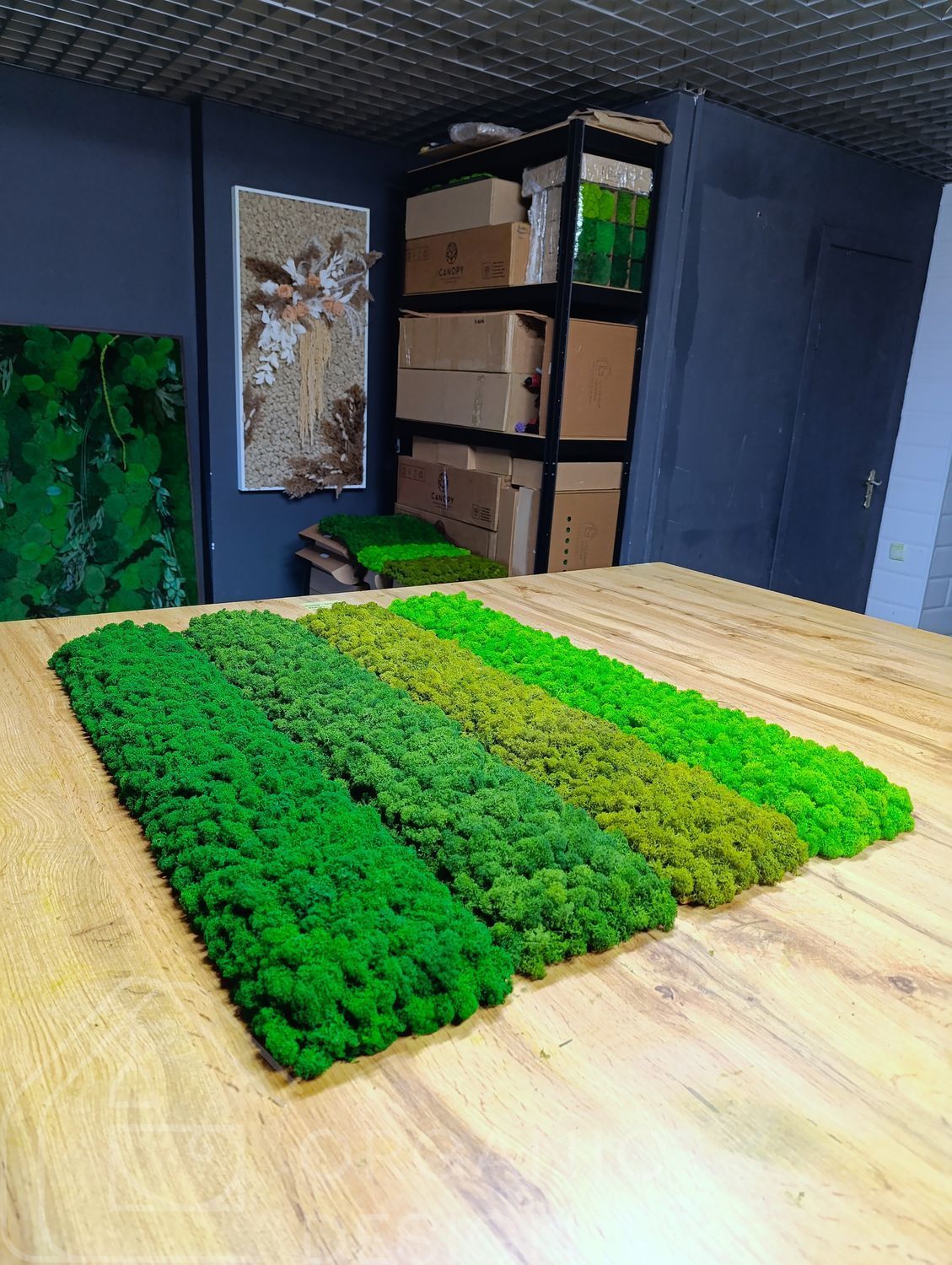 Акустична Панель з Моху - Light Green - 90x15 см