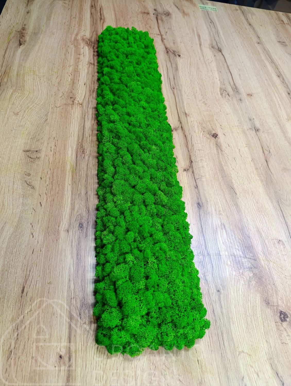 Акустична Панель з Моху - Light Green - 90x15 см