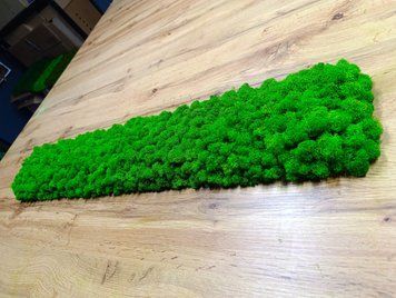 Acoustic Moss Panel - Light Green - 90x15 cm