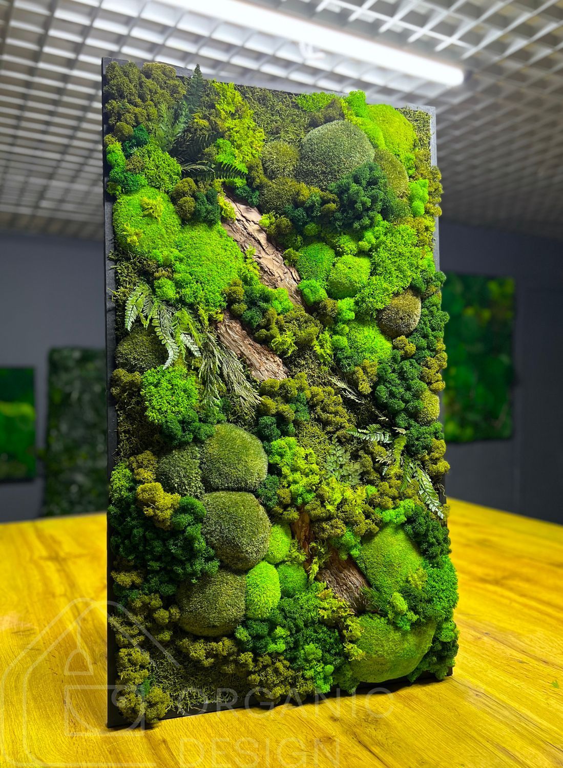 Фитокартина из Мха &mdash; 90x60 см - Ягель и Растения
