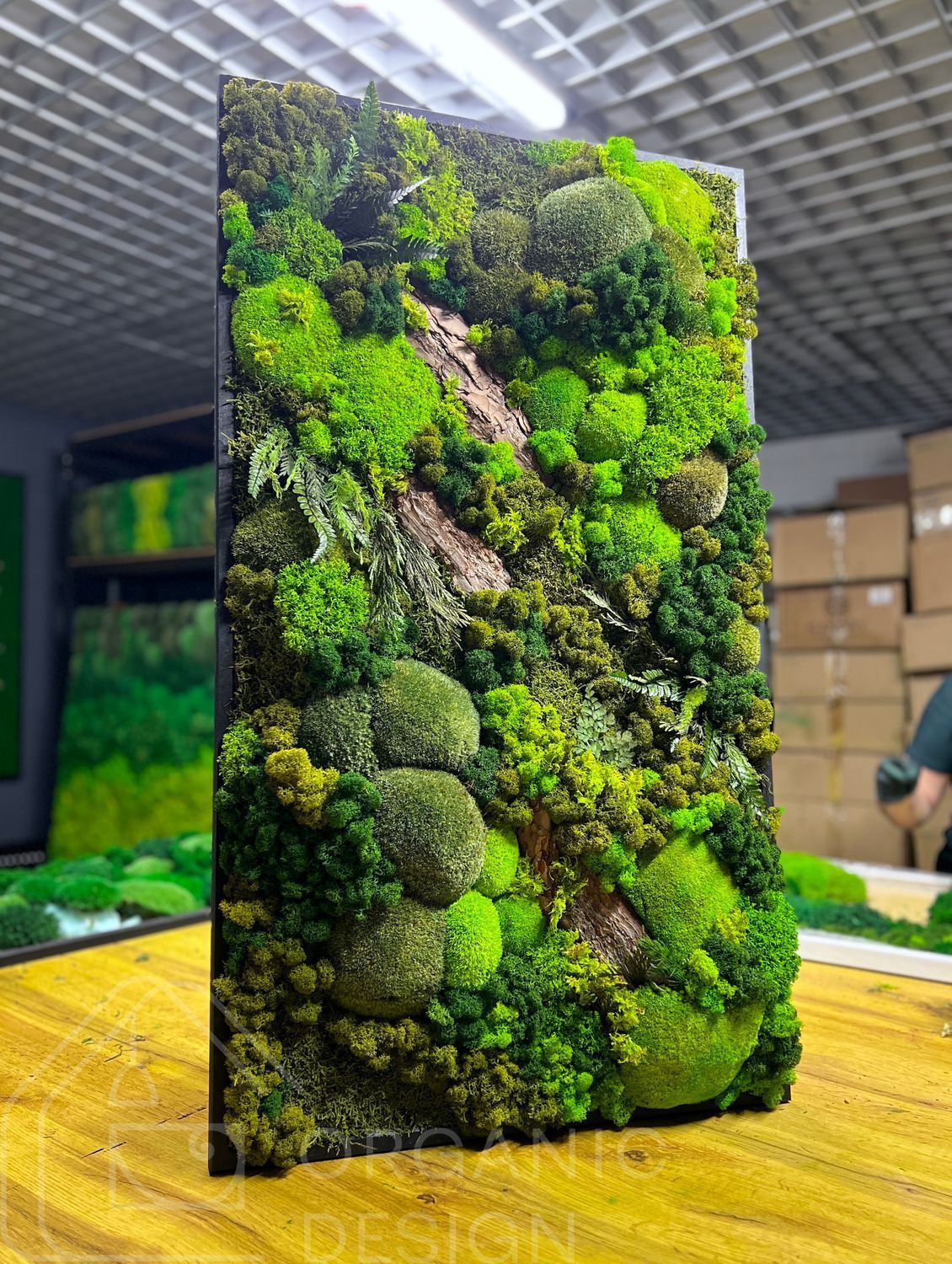 Фитокартина из Мха &mdash; 90x60 см - Ягель и Растения