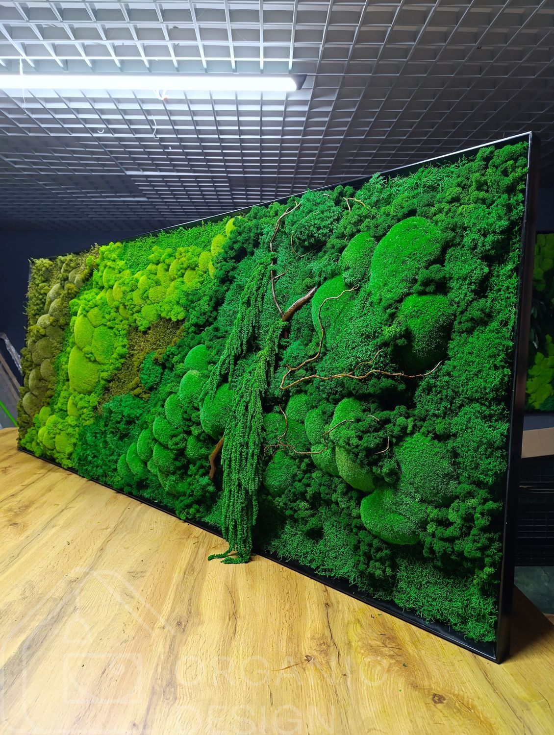 Картина з Штучного Моху - 160x80 см
