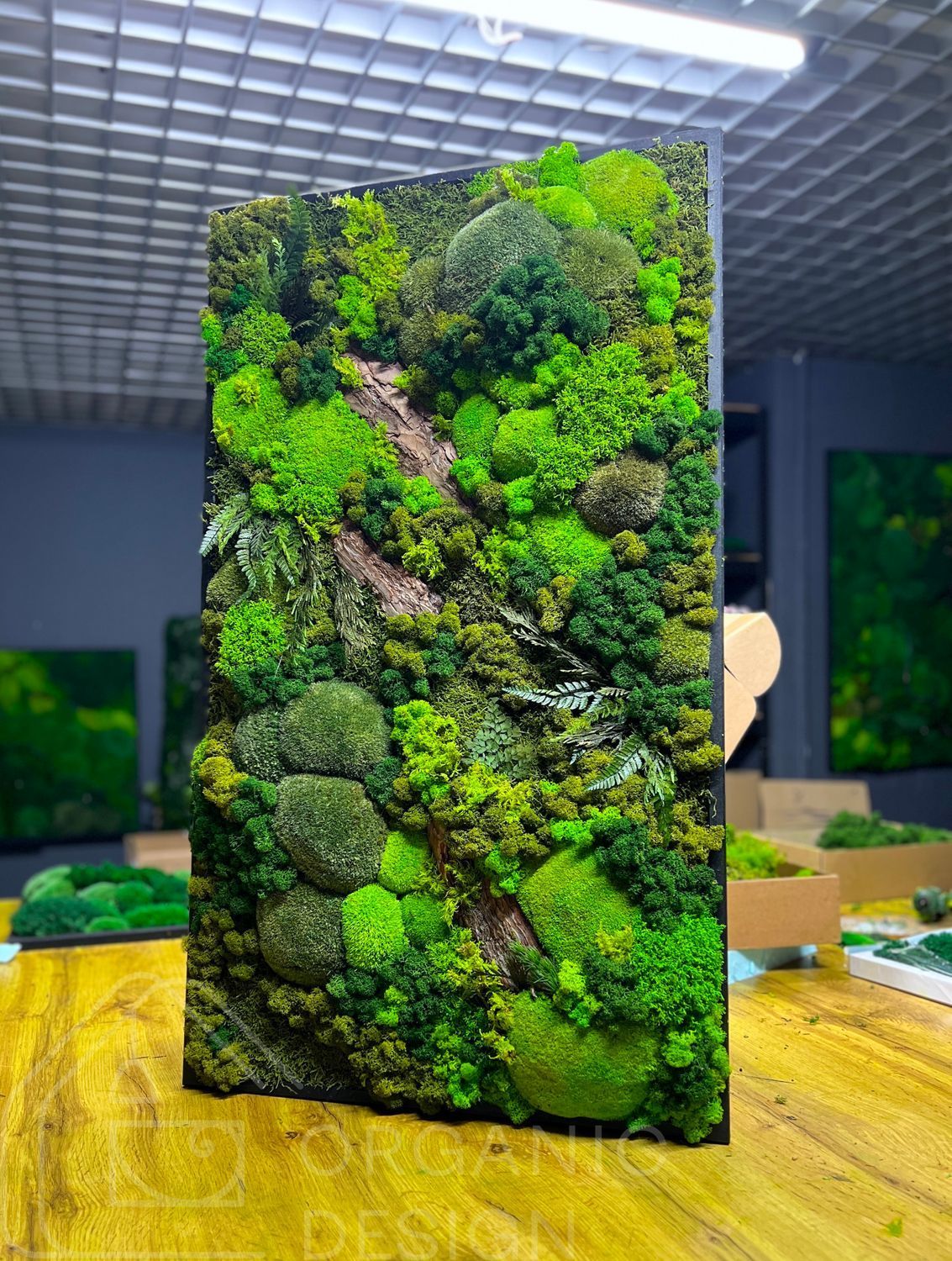 Фитокартина из Мха &mdash; 90x60 см - Ягель и Растения