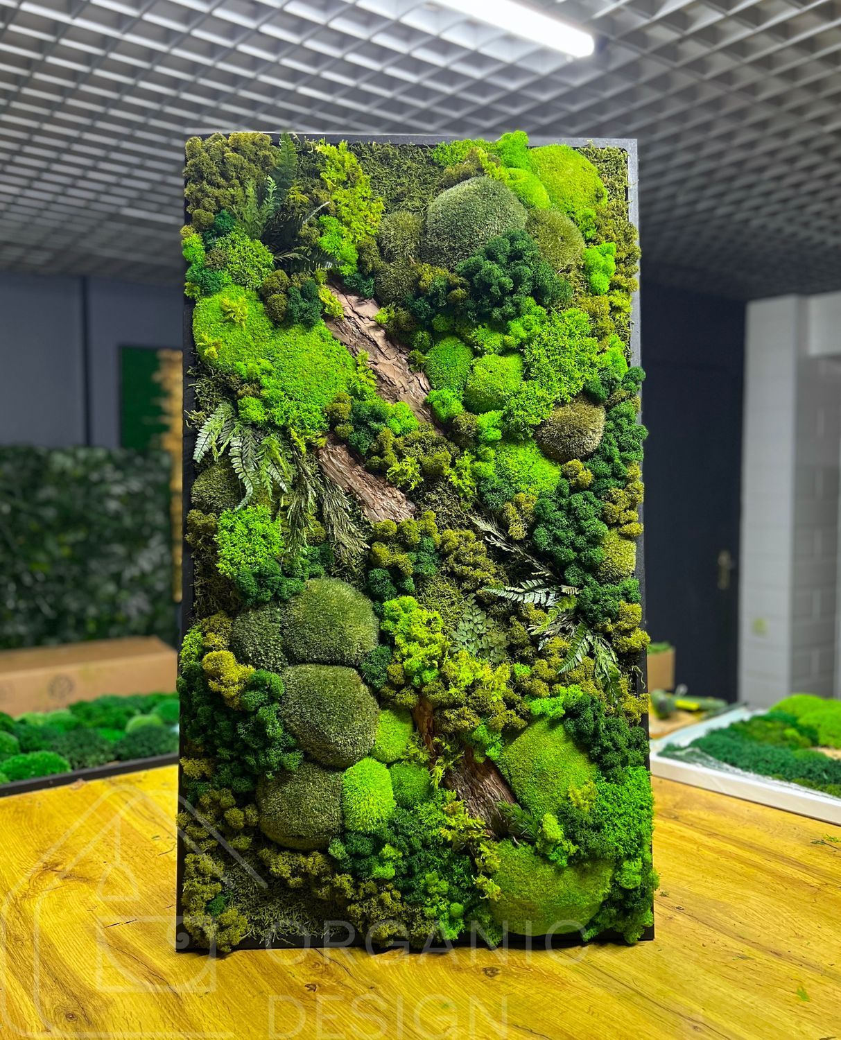 Фитокартина из Мха &mdash; 90x60 см - Ягель и Растения