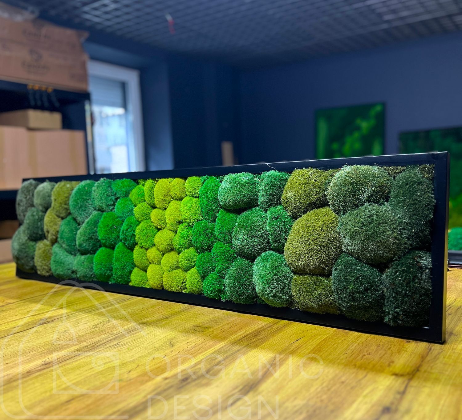 Картина з Штучного Моху - 120x30 см