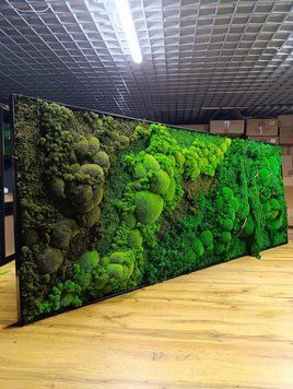Картина з Штучного Моху - 160x80 см