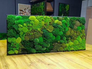 Картина з Декоративного Моху &mdash; 90x60 см - Ягель