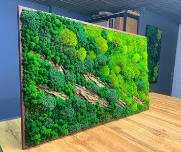 Картина з Моху - 90x60 см - Ягель та Рослини - 815