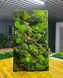 Фитокартина из Мха &mdash; 90x60 см - Ягель и Растения