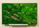 Фитокартина из Мха &mdash; 90x60 см - Ягель и Растения
