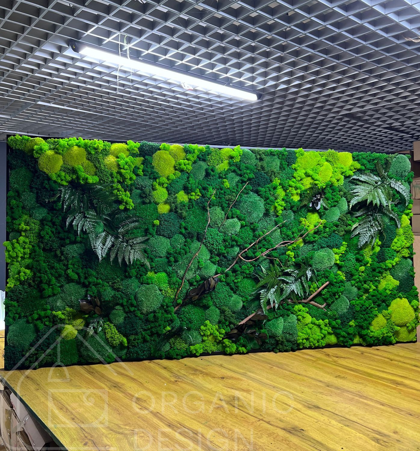 Фитокартина из Мха &mdash; 140x80 см - Ягель и Растения