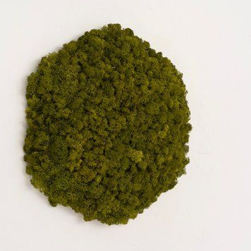 Moss Panel - Hexagonal 33 cm - Medium Green